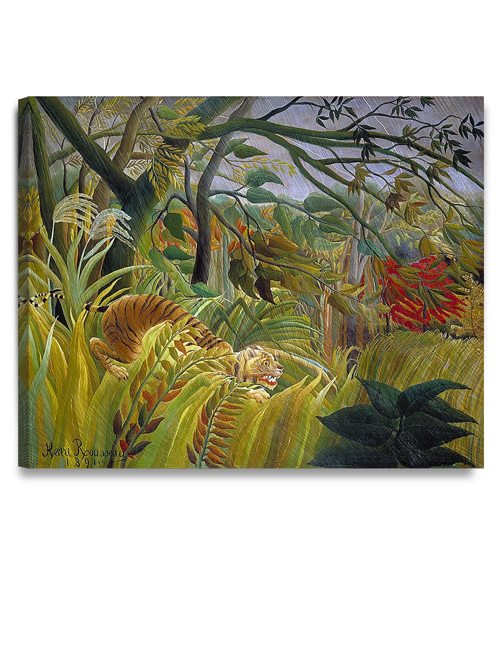 Tiger in a Tropical Storm. - Image 118