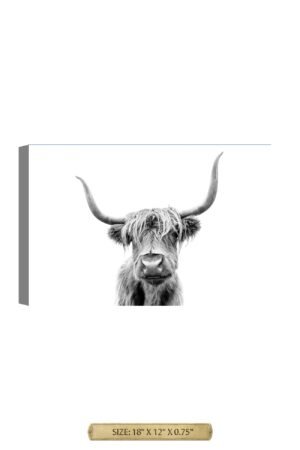 Yak Portrait Wild Animal Wall Art.