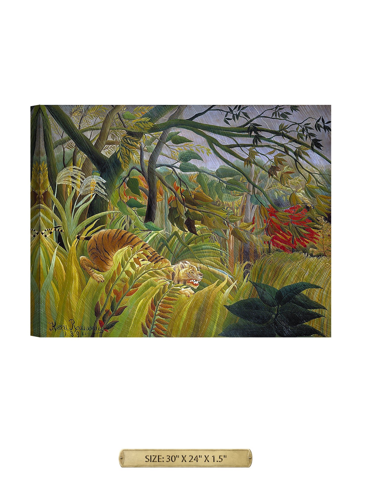 Tiger in a Tropical Storm. - Image 77