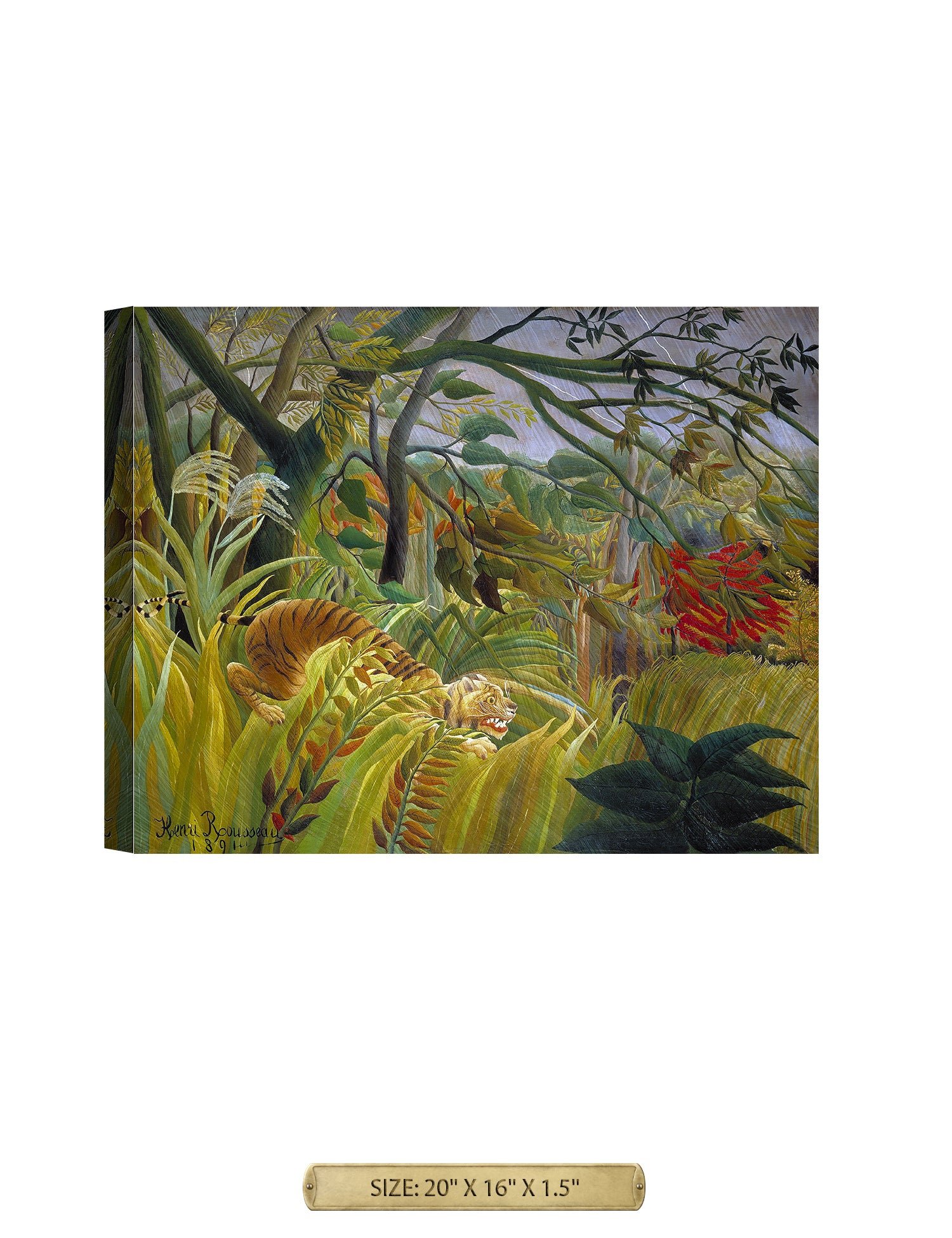 Tiger in a Tropical Storm. - Image 5