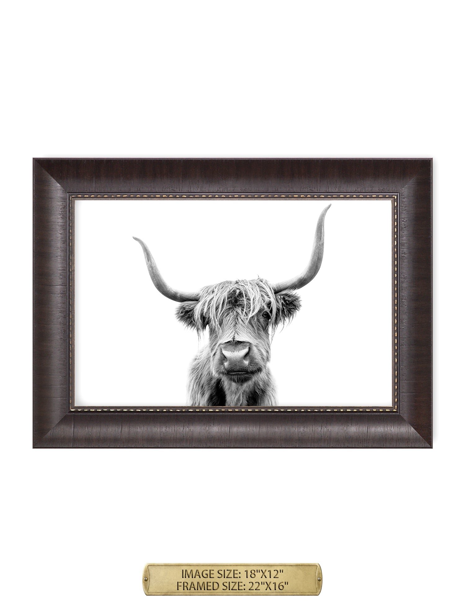 Yak Portrait Wild Animal Wall Art. - Image 19