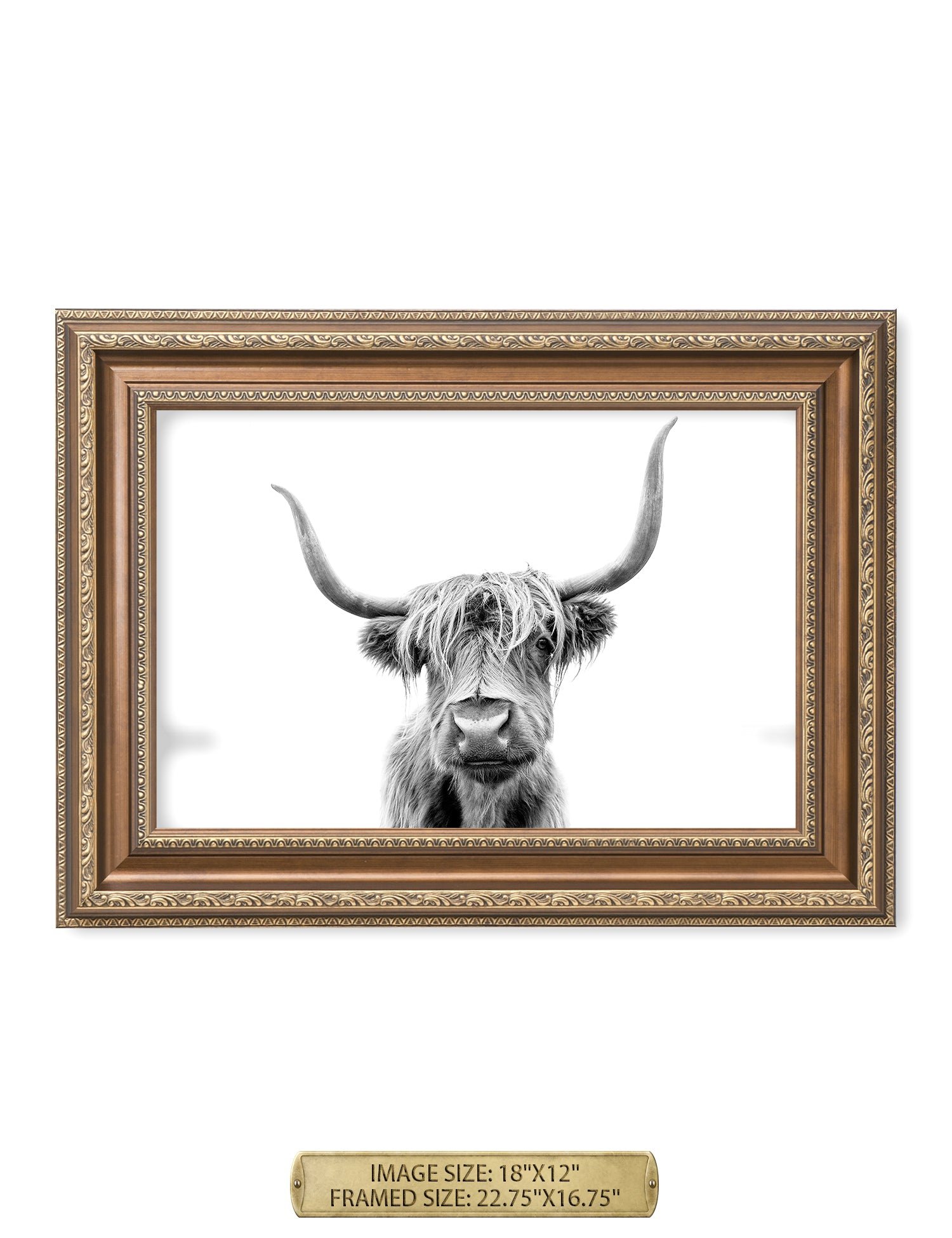 Yak Portrait Wild Animal Wall Art. - Image 23