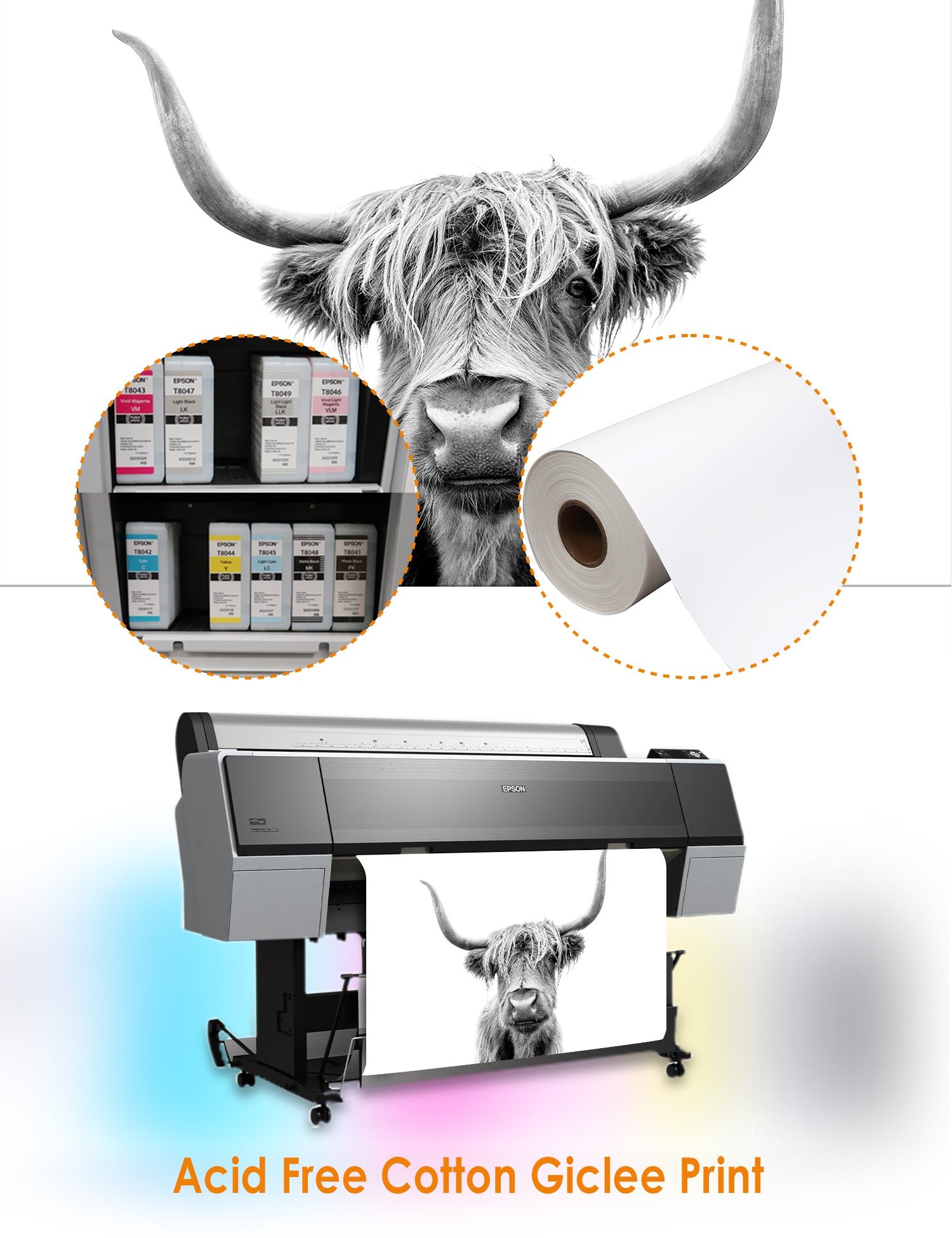 Yak Portrait Wild Animal Wall Art. - Image 131